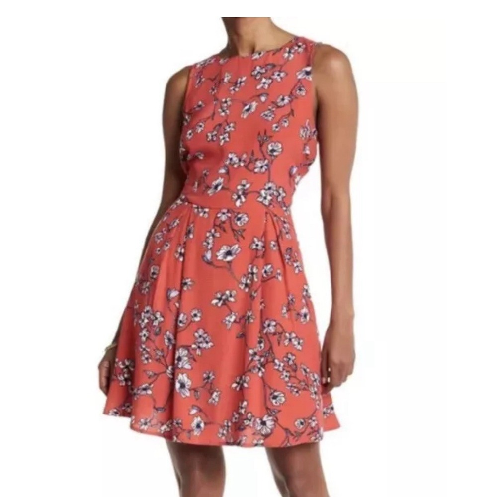 Cupcakes And‎ Cashmere Sweney Fit&Flare Dress Large Cottage Garden Floral Medium